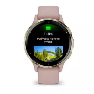 Garmin Venu® 3S, luneta iz nerjavečega jekla Soft Gold, ohišje Dust Rose, silikonski trak