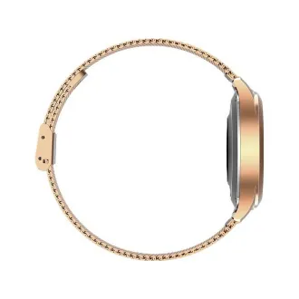 Pametna ura MaxCom FW42 Gold