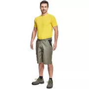 Kratke hlače CREMORNE svetlo olivne barve 46