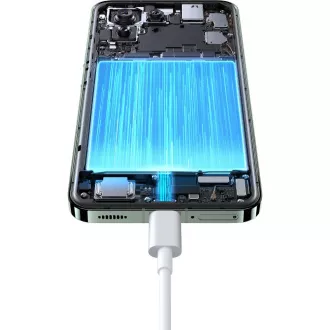Xiaomi 13 8/256 GB Flora Green XIAOMI Xiaomi 13 8/256 GB Flora Green XIAOMI