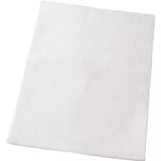 FILTER EF54 (900084305) ELECTROLUX
