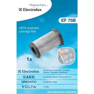 EF75B CIKLONSKI FILTER(900195949) ELECTROLUX