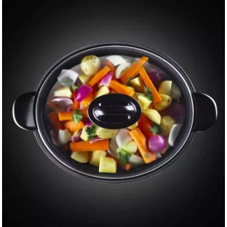 23570-56 RUSSELL HOBBS KUHALNIK RIŽA