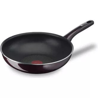 D5221983 INTENZIVNA PONEV RESIST 28CM TEFAL