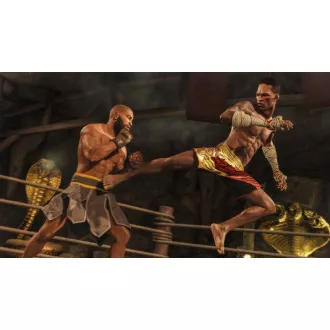 EA Sports UFC 4 igra PS4 EA