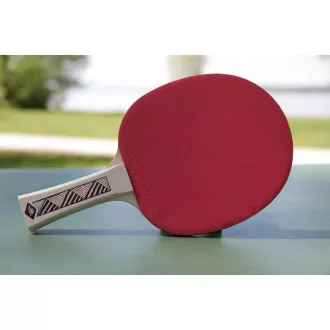 DONIC Žogica za namizni tenis CHAMPS LINE 150 FSC