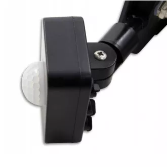 Halogenska svetilka LED s senzorjem gibanja IP66 30W, hladno bela