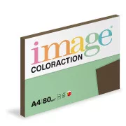Slika Coloraction umetniški papir A4/80g, rjav, 100 listov