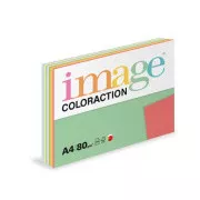 Slika Pisarniški papir Coloraction A4/80g, TOP mix 10x25, mix - 250
