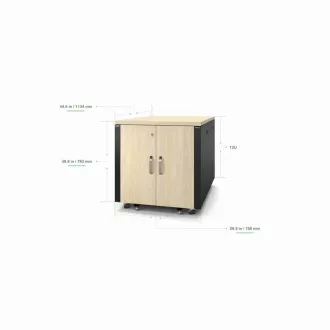 APC NetShelter zvočno izolirano, 12U, ohišje za strežnike, javor APC NetShelter zvočno izolirano, 12U, ohišje za strežnike, javor