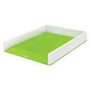 LEITZ Dvobarvna škatla za shranjevanje WOW, bela/zelena