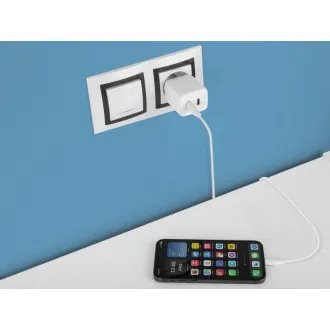 AVACOM HomePRO 2 omrežni polnilnik z Power Delivery 40W z dvema izhodoma USB-C
