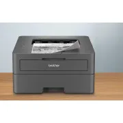 Brother HL-L2402D (30 strani na minuto, USB 2.0, obojestranski tisk) - Rabljeno