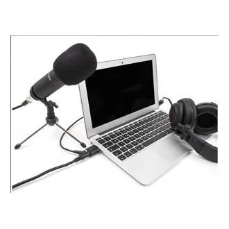 Delock Zunanja zvočna kartica USB 24 bit / 96 kHz Plug & Play za Windows, MAC, Linux, Chrome OS