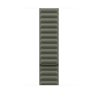 Watch Acc/46/Sage Gray Magnetic Link - M/L