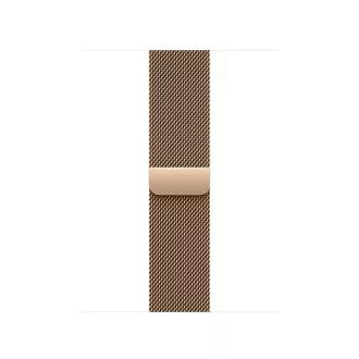 Watch Acc/40/Gold Milanese Loop