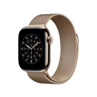 Watch Acc/40/Gold Milanese Loop