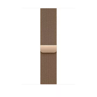 Watch Acc/46/Gold Milanese Loop - M/L
