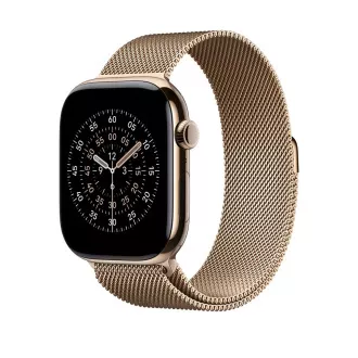 Watch Acc/46/Gold Milanese Loop - M/L