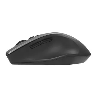 ASUS WT425/Ergonomski/optični/desnoročni/1 600 DPI/Wireless USB/Gray