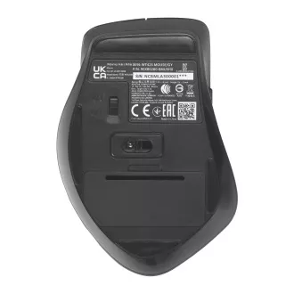 ASUS WT425/Ergonomski/optični/desnoročni/1 600 DPI/Wireless USB/Gray
