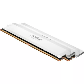 Crucial Pro/DDR5/64GB/6000MHz/CL40/2x32GB/bela