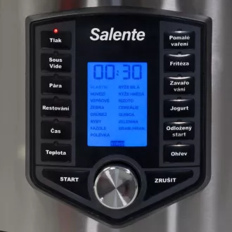 Salente Ario II, večnamenski lonec s pečico na vroč zrak