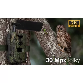 EVOLVEO StrongVision MINI 4G, foto past/varnostna kamera