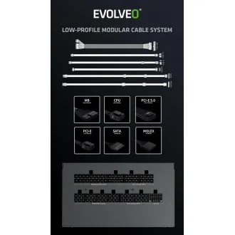 EVOLVEO G750,750W,ATX3.1,14cm,aPFC,80 GOLD,3YRW