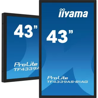43