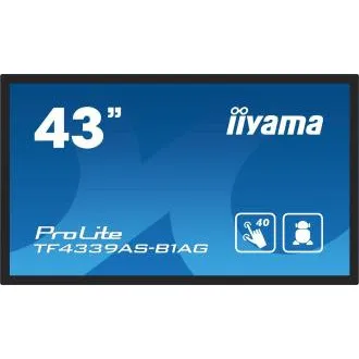 43 43