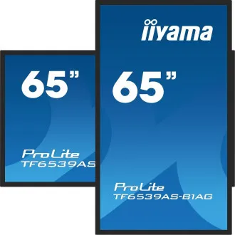 65 65