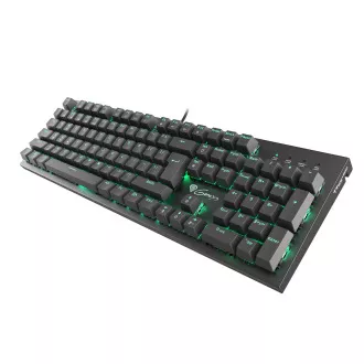 Genesis Gaming mehanska tipkovnica THOR 300/RGB/Outemu Blue/Wireless USB/US layout/Black Genesis Gaming mehanska tipkovnica THOR 300/RGB/Outemu Blue/Wireless USB/US layout/Black