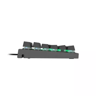 Genesis Gaming mehanska tipkovnica THOR 300/RGB/Outemu Blue/Wireless USB/US layout/Black Genesis Gaming mehanska tipkovnica THOR 300/RGB/Outemu Blue/Wireless USB/US layout/Black