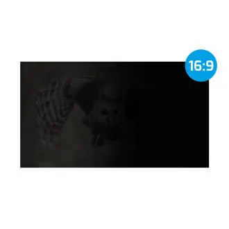 Zasebni filter Natec Owl 14