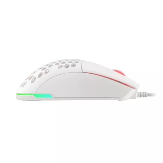 Genesis Gaming optična miška KRYPTON 750/RGB/8000 DPI/obročki/Optični/8000 DPI/Wireless USB/White Genesis Gaming optična miška KRYPTON 750/RGB/8000 DPI/obročki/Optični/8000 DPI/Wireless USB/White
