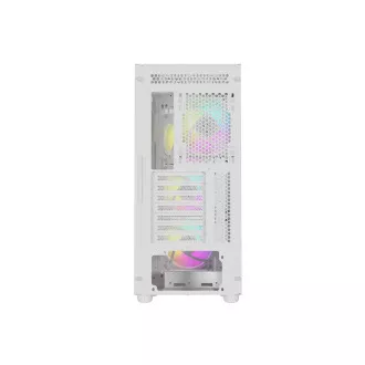 Računalniško ohišje Genesis DIAXID 605 ARGB/Midi Tower/Transpar./White