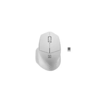 Natec optična miška SISKIN 2/Office/Optical/Right-handed/1 600 DPI/USB BT/White
