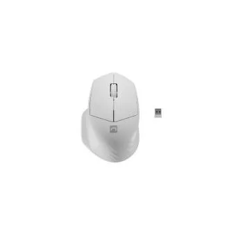 Natec optična miška SISKIN 2/Office/Optical/Right-handed/1 600 DPI/USB BT/White