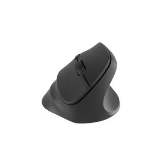 Natec CRAKE 2/Office/Optical/Right-handed/2 400 DPI/USB BT/Black