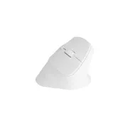 Natec CRAKE 2 Brezžična miška/Office/Optical/2 400 DPI/USB BT/White/Vertical/Optical/Right-handed