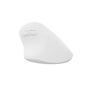 Natec CRAKE 2 Brezžična miška/Office/Optical/2 400 DPI/USB BT/White/Vertical/Optical/Right-handed