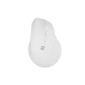 Natec CRAKE 2 Brezžična miška/Office/Optical/2 400 DPI/USB BT/White/Vertical/Optical/Right-handed