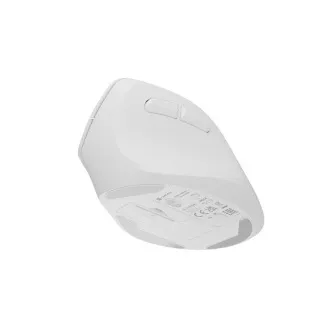 Natec CRAKE 2 Brezžična miška/Office/Optical/2 400 DPI/USB BT/White/Vertical/Optical/Right-handed