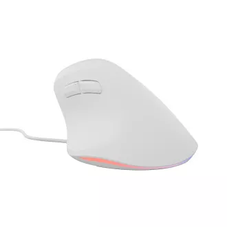 Natec CRAKE 2 PRO Vertikalna miška/Vertikalna/Optična/Desna/12 400 DPI/Brezžični USB-A/Bela