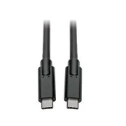 USB-C (moški/ženska), USB 3.1, Gen 1 (5Gb/s), združljiv s Thunderbolt 3, 3,05 m
