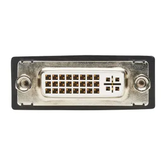 Video adapter DisplayPort / DVI (moški/ženska), 15,2 cm