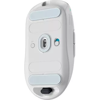 Dell Alienware Pro/Obročno/optično/desnoročno/26.000 DPI/Wireless Wireless/White