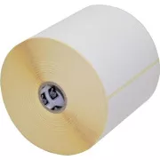 Z-Select 2000D,101,6 x 50,8 mm, neposredni toplotni