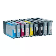 Epson T6029 (C13T602900) - kartuša, light light black (svetlo svetlo črna)